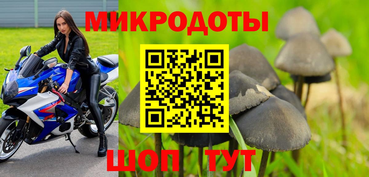 Березники  Галлюциногенные грибы GOLDEN TEACHER  Псилоцибиновые грибы Psilocybine cubensis  Вход с VPN 